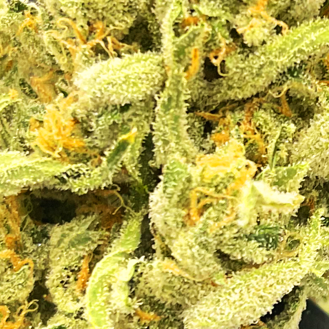 Cookies_macro_1080x1080px