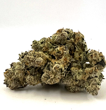 Strawberry Bud1